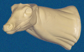 040N Buck Neck Forms