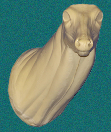 041N Buck Neck Forms
