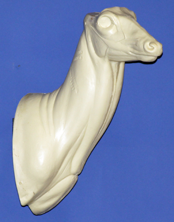 C025 Upright Buck Shoulder