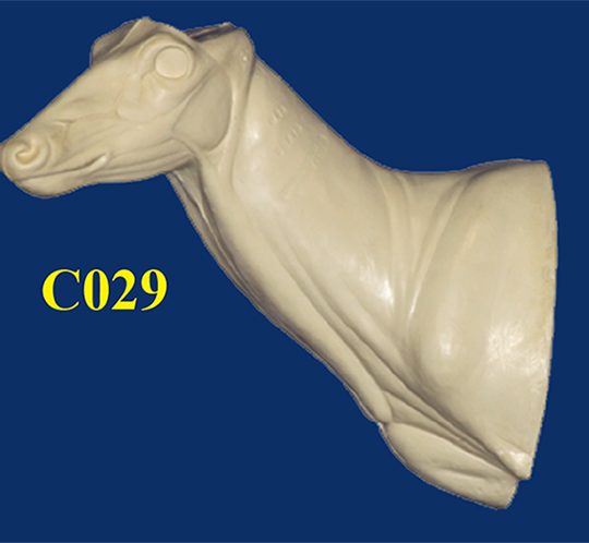 C029 Semi-Sneak Buck Shoulder