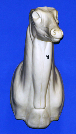 C030 Upright Buck Shoulder