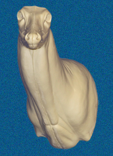 C035 Semi-Sneak Buck Shoulder