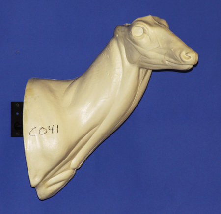C041 Semi Upright - Buck Shoulder