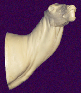 C031 Open Mouth Specialty