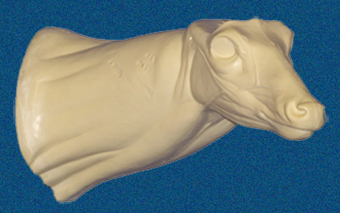 043N Buck Neck Forms