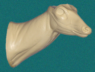 050N Buck Neck Form