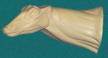 070N Buck Neck Forms