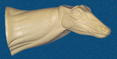 075N Buck Neck Forms