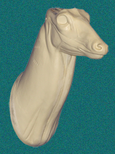 083N Buck Neck Form