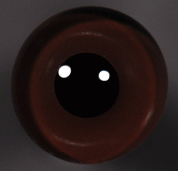 Dark Brown on Card 6 MM