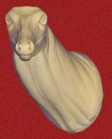 110N Buck Neck Forms