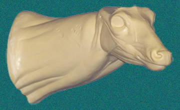 111N Buck Neck Forms
