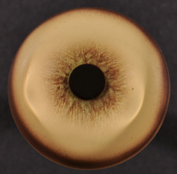 Cougar Eyes - 24 MM