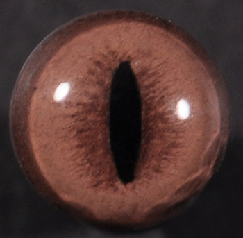 CT190S06 Snake Eyes - 6 MM