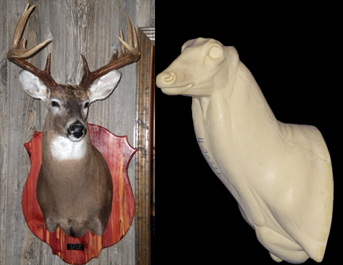 4-7022L Upright Buck Shoulder