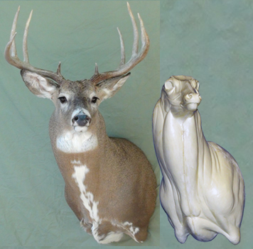 4-7124OL Offset Buck Shoulder