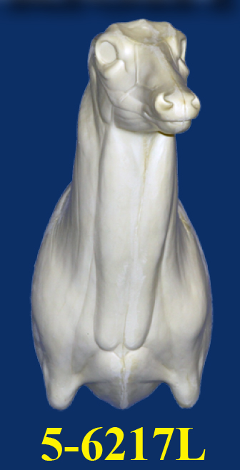 5-6217L Semi Upright Left