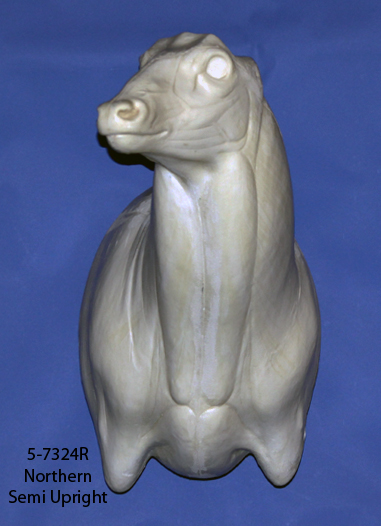 5-7324R Northern Whitetail • Semi Upright