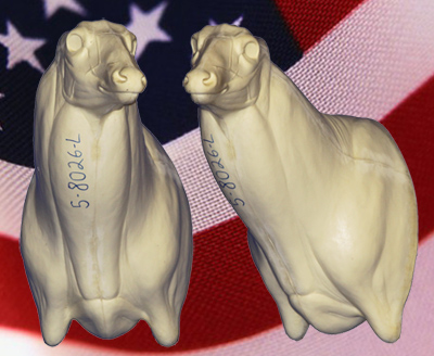 5-8026L Northern Semi Upright