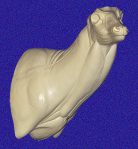 7-7020R Semi-Sneak Buck Shoulder
