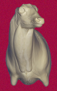7-7021L Semi-Sneak Buck Shoulder