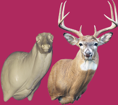 7-7021R Semi-Sneak Buck Shoulder