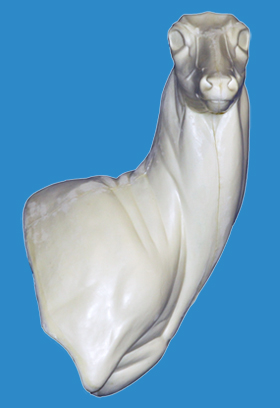 94-6218R Full Wall Pedestal