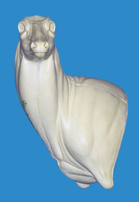 94-7020L Full Wall Pedestal