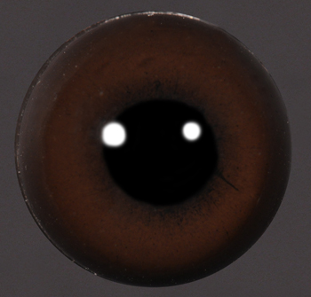 Acrylic Dark Brown 12 MM - AE2512