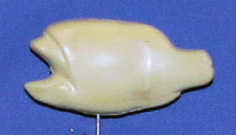 BL66  Bream