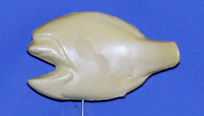 BL79  Bream