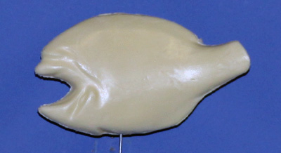 BL81 Bream