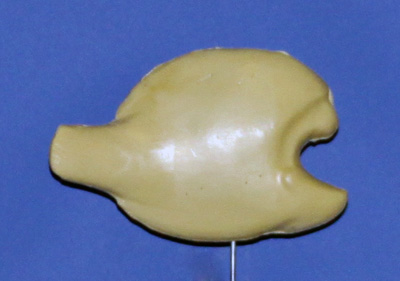 BR65  Bream