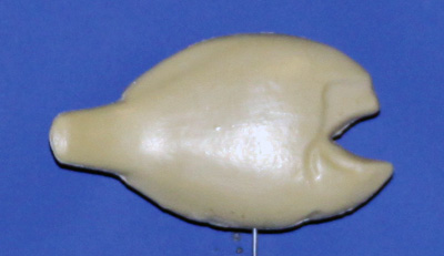 BR7 Bream