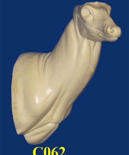 C062 Semi Upright - Buck Shoulder