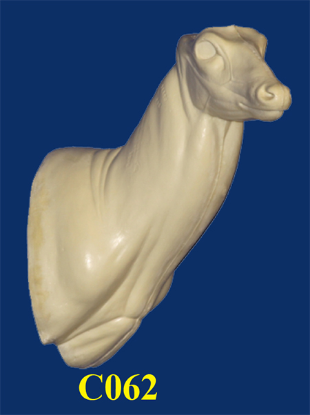 C062 Semi Upright - Buck Shoulder