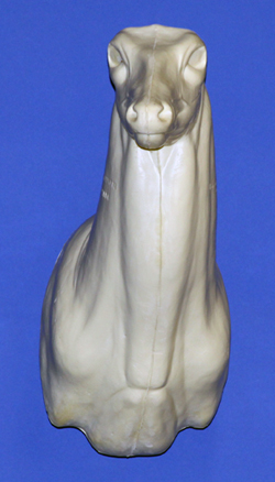 C063 Upright Buck Shoulder