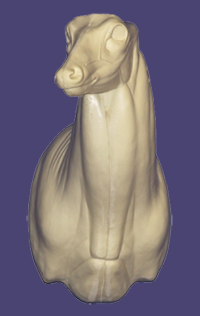 C068 Semi Upright - Buck Shoulder