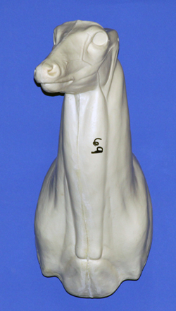 C069 Upright Buck Shoulder