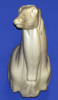 C071 Upright Buck Shoulder