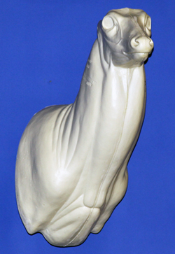 C073 Upright Buck Shoulder