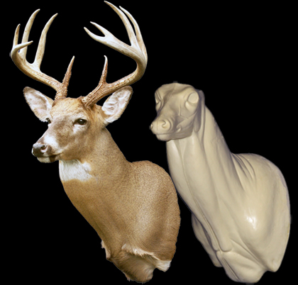C081 Upright Buck Shoulder