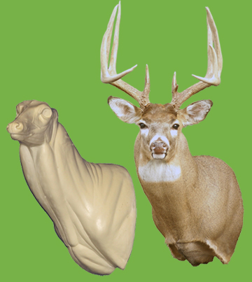 C096 Semi Upright Buck Shoulder