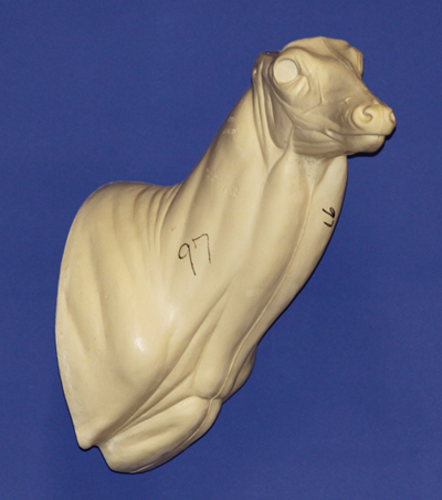 C097 Semi Upright Buck Shoulder