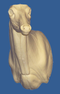 C101 Semi-Sneak Buck Shoulder