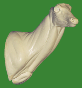 C104 Semi-Sneak Buck Shoulder