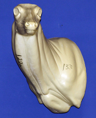 C133 Semi Sneak Offset Buck Shoulder