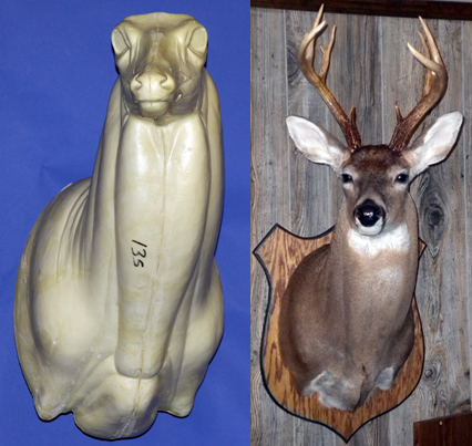 C135 Upright Buck Shoulder