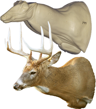 C144 Sneak Buck Shoulder
