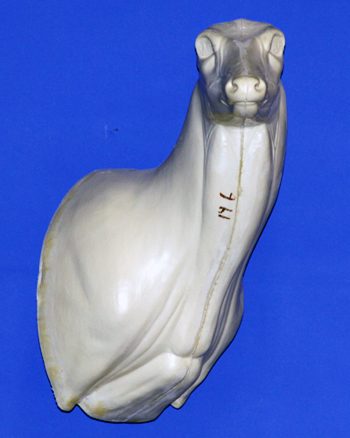 C146 Offset Buck Shoulder (Sweep)